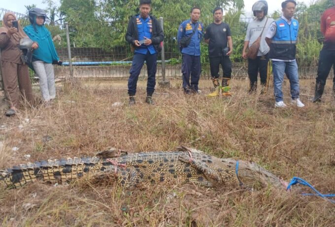 WhatsApp Image 2026-01-21 at 11.23.45