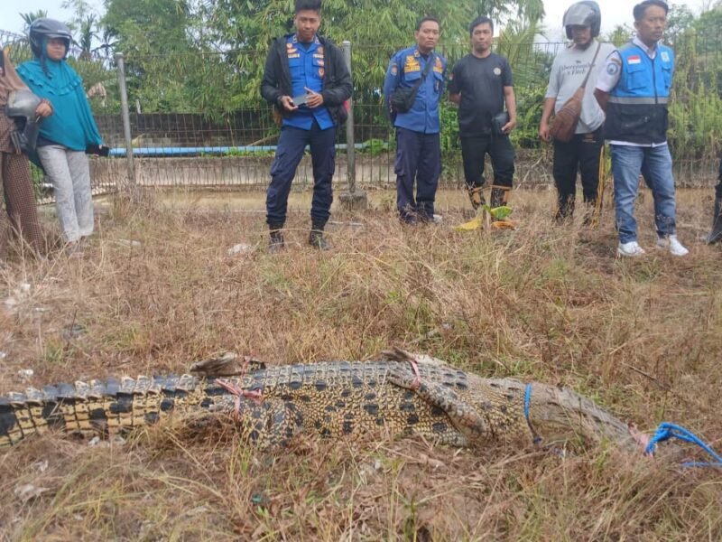 WhatsApp Image 2026-01-21 at 11.23.45