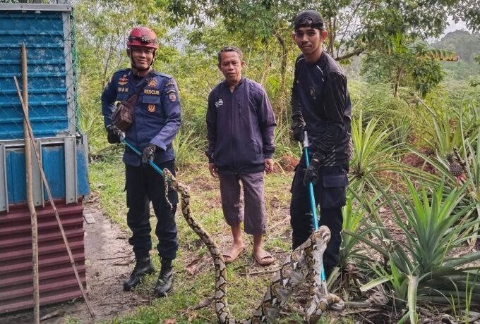 WhatsApp Image 2026-01-21 at 13.36.24