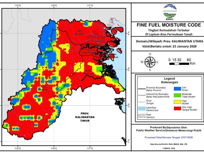 WhatsApp Image 2026-01-23 at 13.47.35