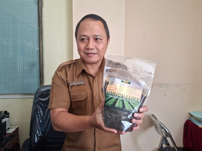 Rumput Laut Rumput Laut