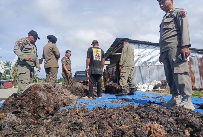 WhatsApp Image 2026-02-05 at 14.47.08