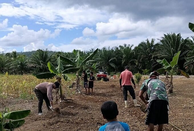 WhatsApp Image 2026-02-05 at 15.08.21