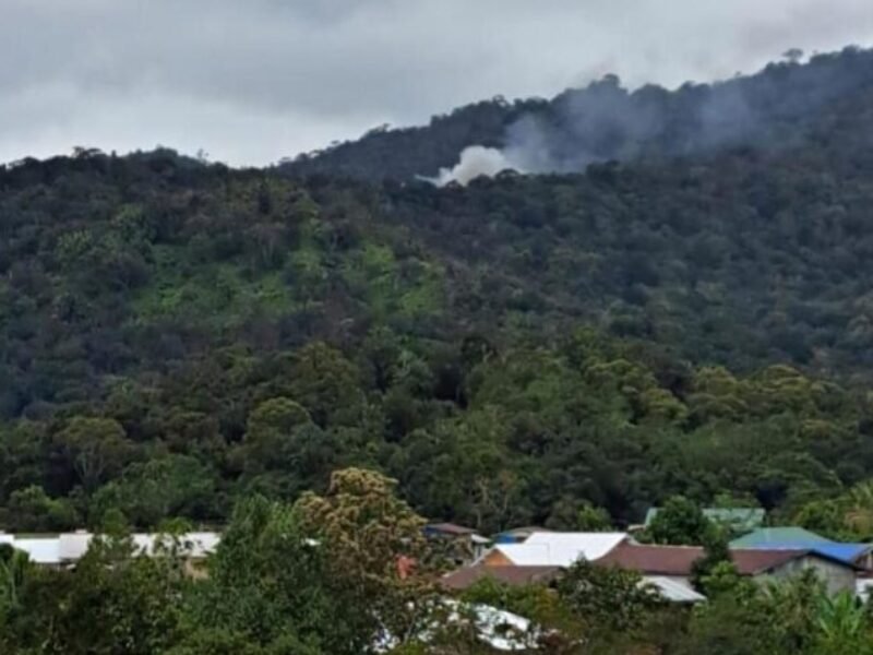 WhatsApp Image 2026-02-19 at 14.12.11