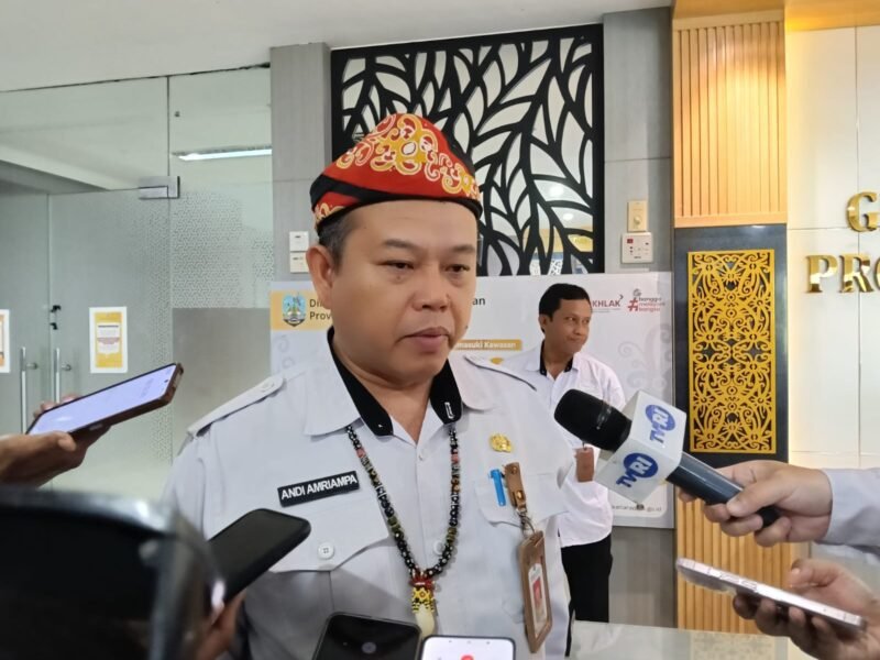 WhatsApp Image 2026-02-19 at 15.06.51