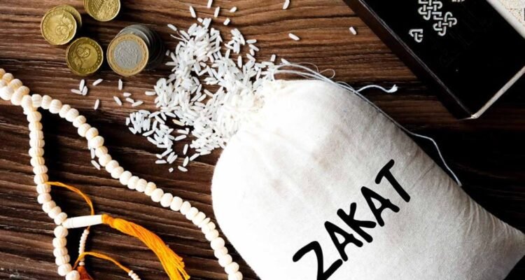 WhatsApp Image 2026-02-19 at 15.26.36