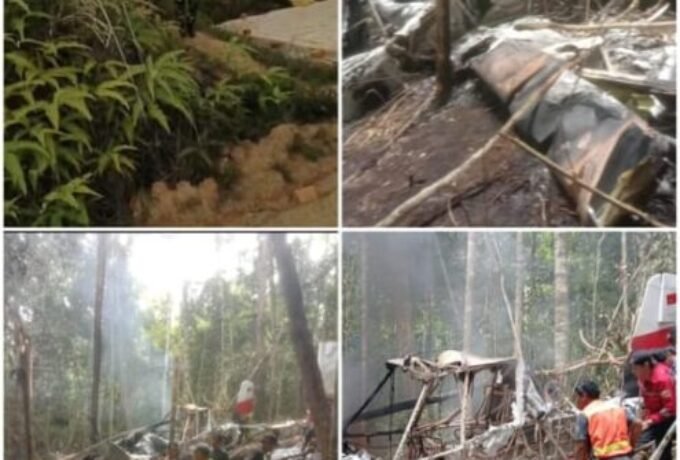 WhatsApp Image 2026-02-19 at 15.47.15