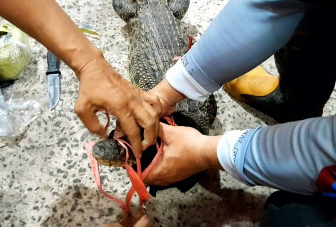 WhatsApp Image 2026-02-20 at 11.31.22