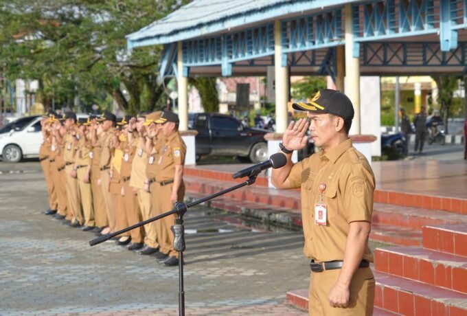 WhatsApp Image 2026-02-26 at 18.53.47