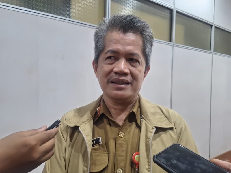 WhatsApp Image 2026-03-04 at 16.14.13