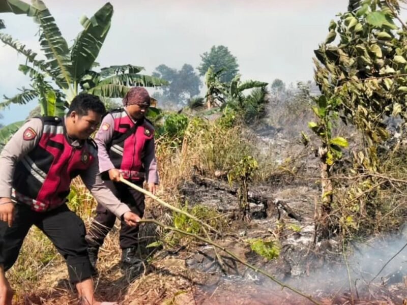 WhatsApp Image 2026-03-26 at 13.12.23