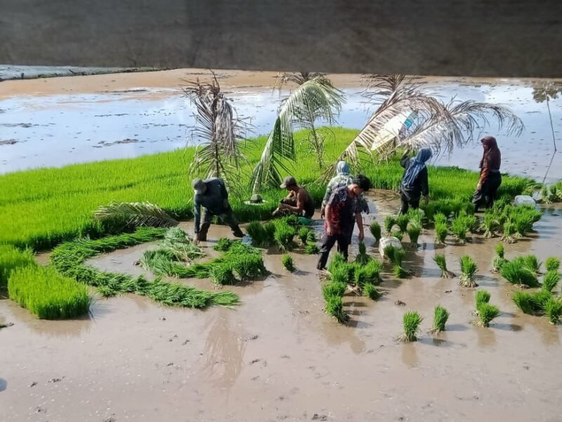 WhatsApp Image 2026-04-01 at 17.15.21