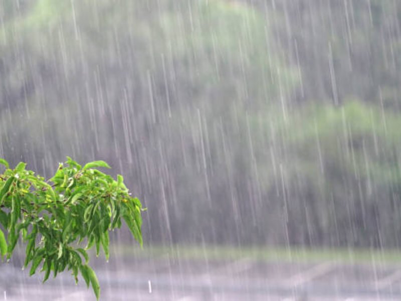 parking lot in the heavy rain in summer thunderstorm