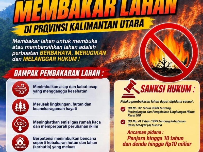 WhatsApp Image 2026-08-13 at 18.08.14