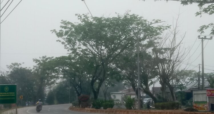 IMG-20261005-WA0022